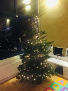 Potter-Weihnachtsbaum